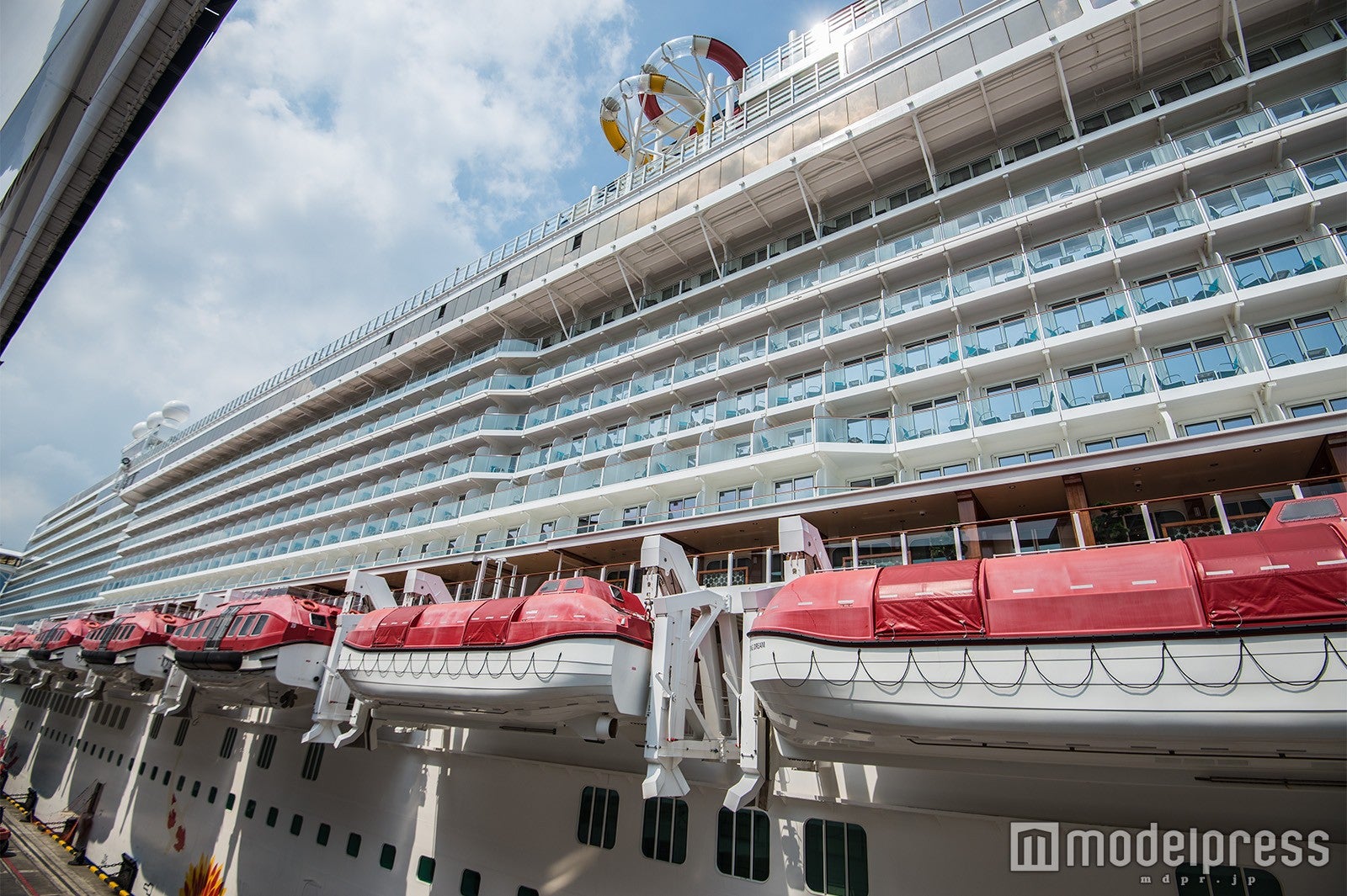 視界に収まらないほど大きい （C）モデルプレス