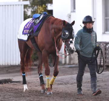 金鯱賞に出走するアーバンシックが異例の調整 11日の追い切りから中1日で美浦坂路4F55秒7-11秒6