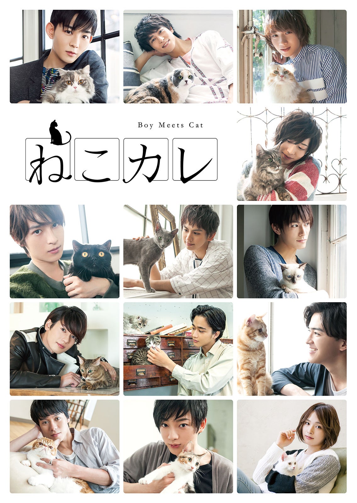 写真展「ねこカレ」／画像提供：TCエンタテインメント