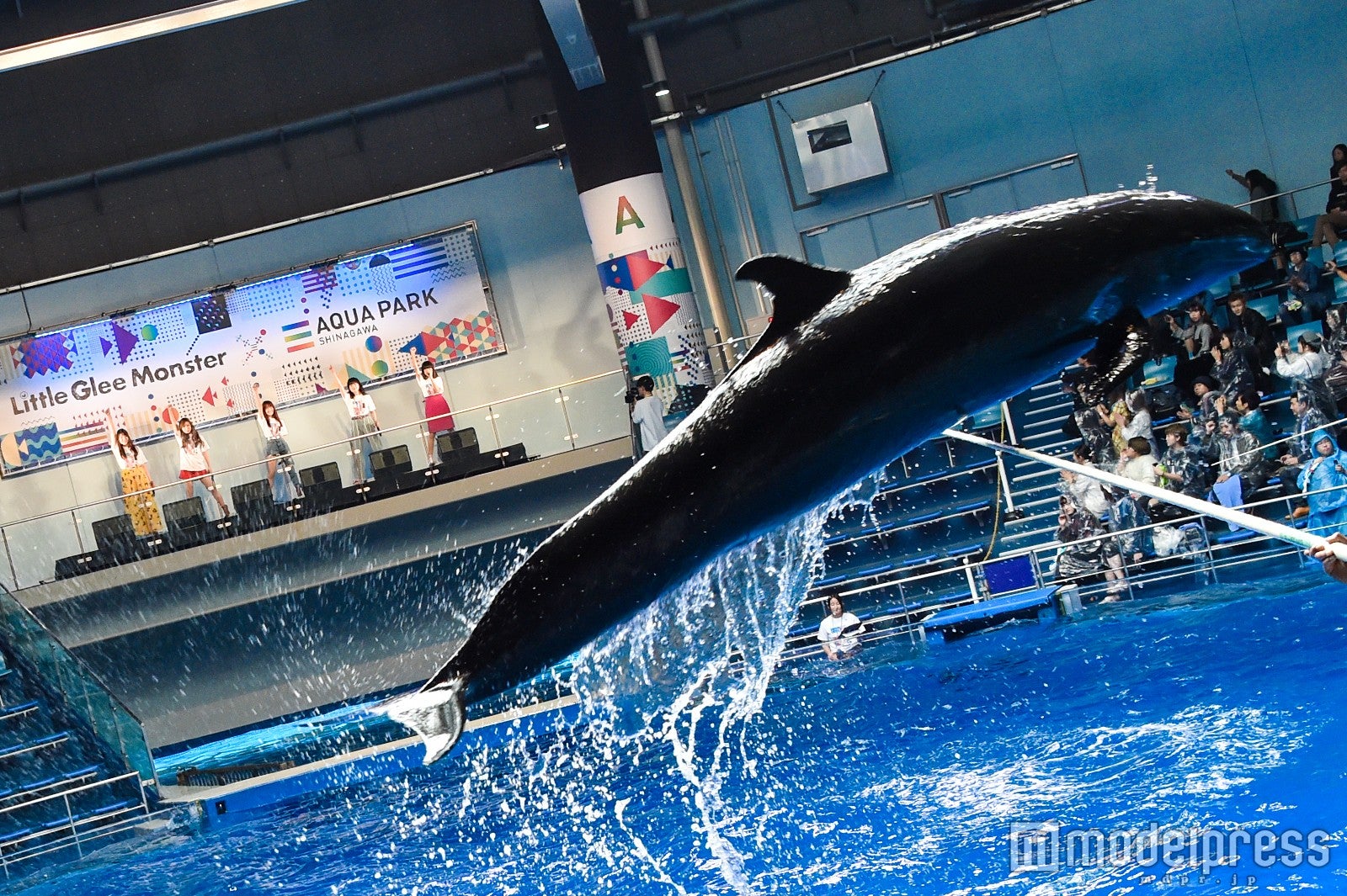 Little Glee Monster、大迫力のイルカショーとコラボパフォーマンス