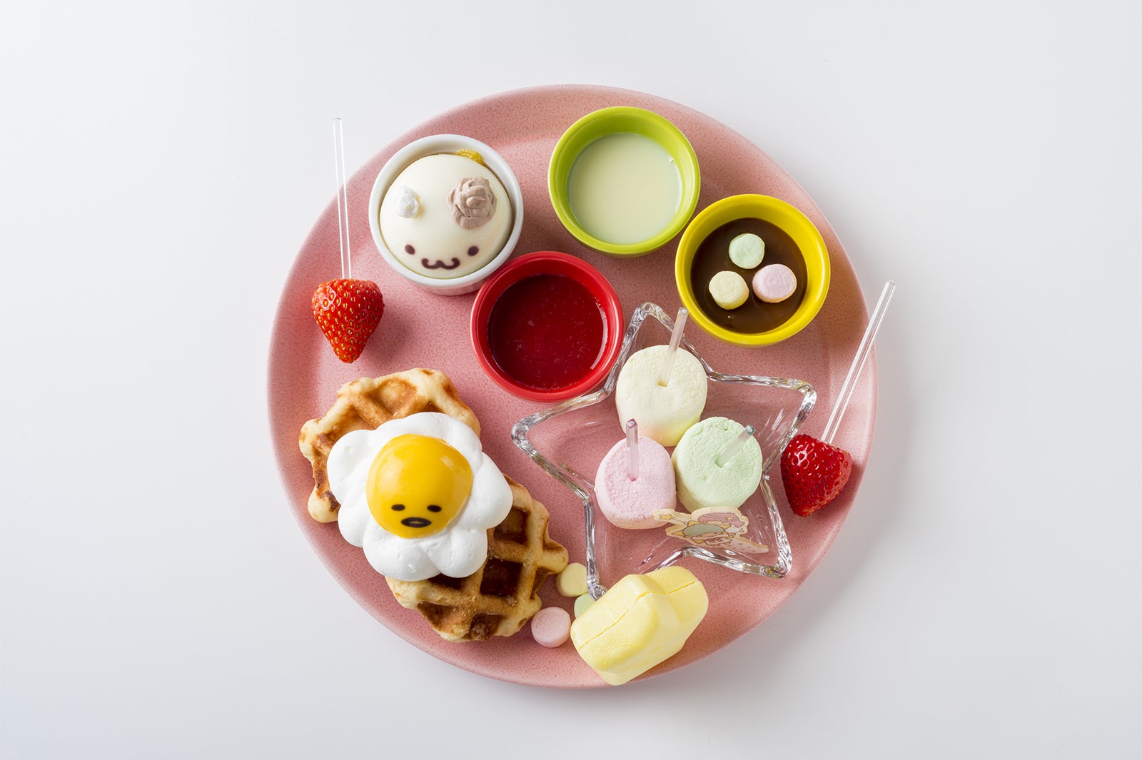 下段／画像提供：ソルト・コンソーシアム