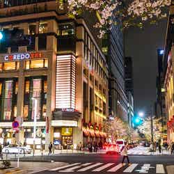 過去開催時の様子/画像提供:日本橋桜フェスティバル実行委員会