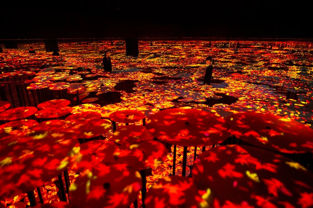 紅葉／画像提供：チームラボ
