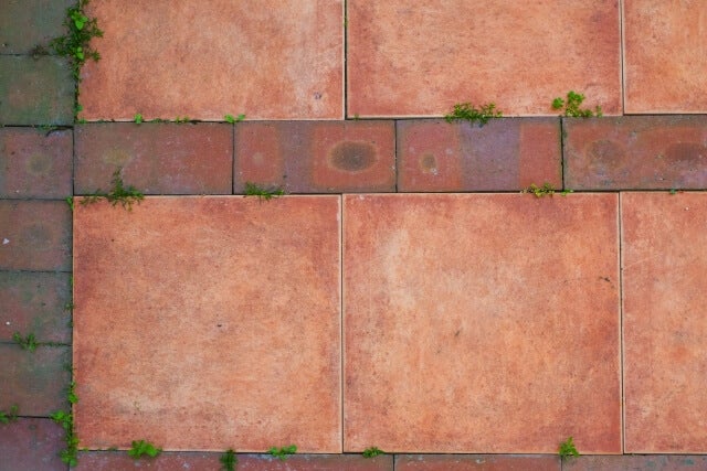 テラコッタってどんなカラー？