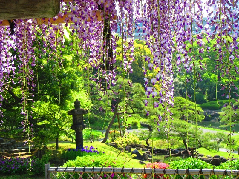 芝離宮恩賜庭園