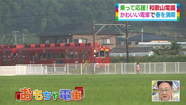 いちご、うめぼし…？バリエーションが豊か過ぎるローカル電車【和歌山・貴志川線編】