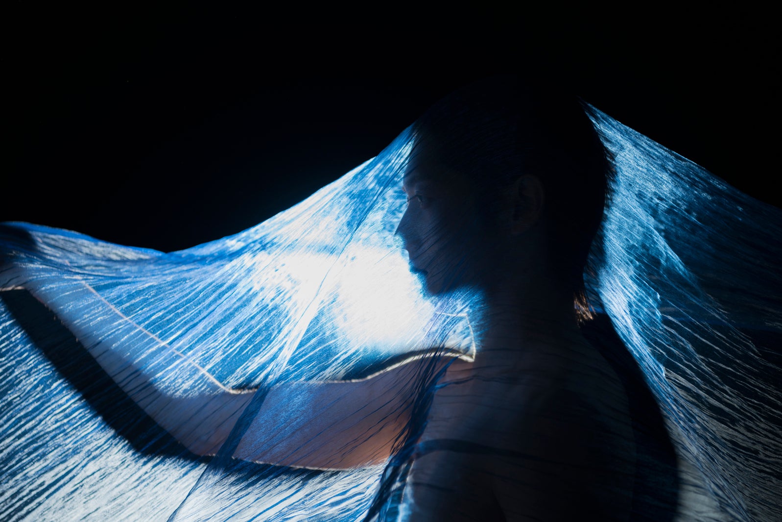 「文豪ノスタルジア 染谷俊之ｘ谷崎潤一郎 陰翳礼讃」より