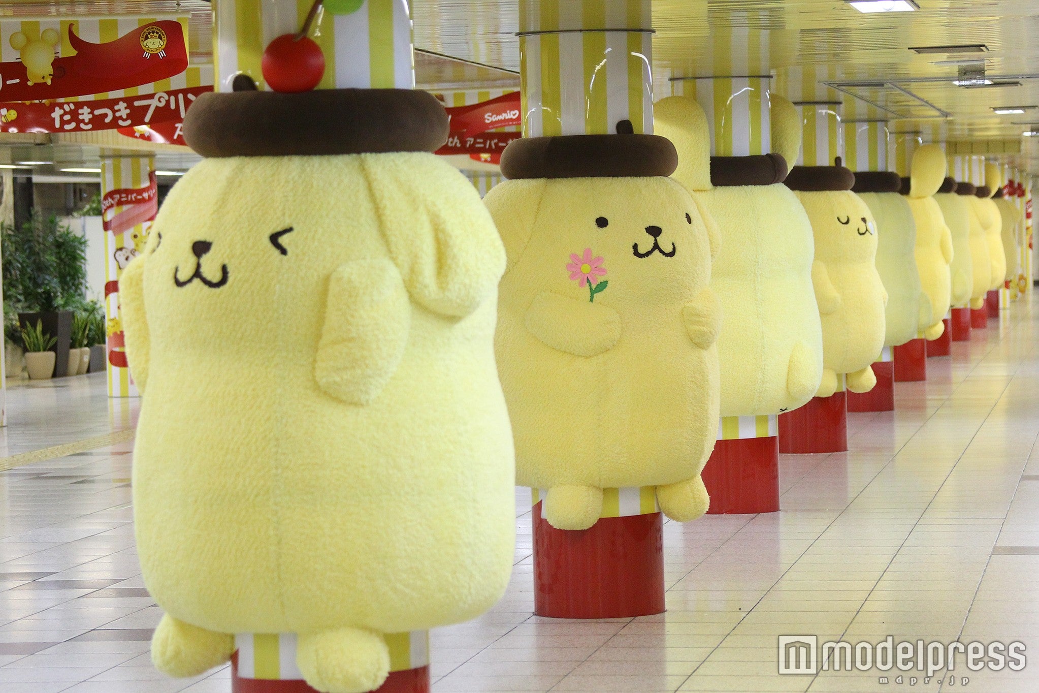 イベント「だきつきプリン」（C）2016 SANRIO CO．，LTD．