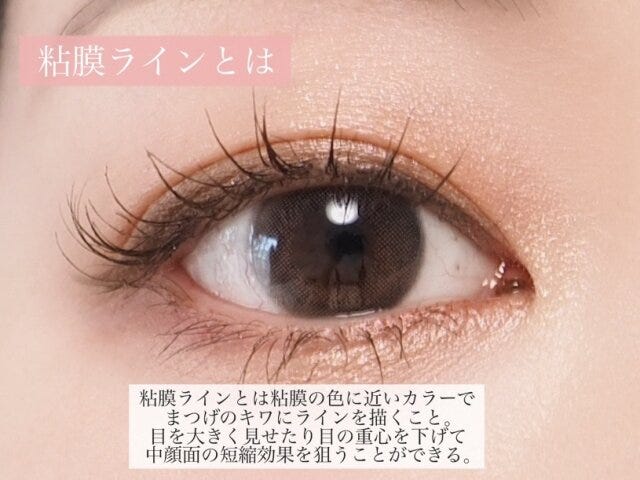 粘膜ラインとは 解説 粘膜ラインとは 解説