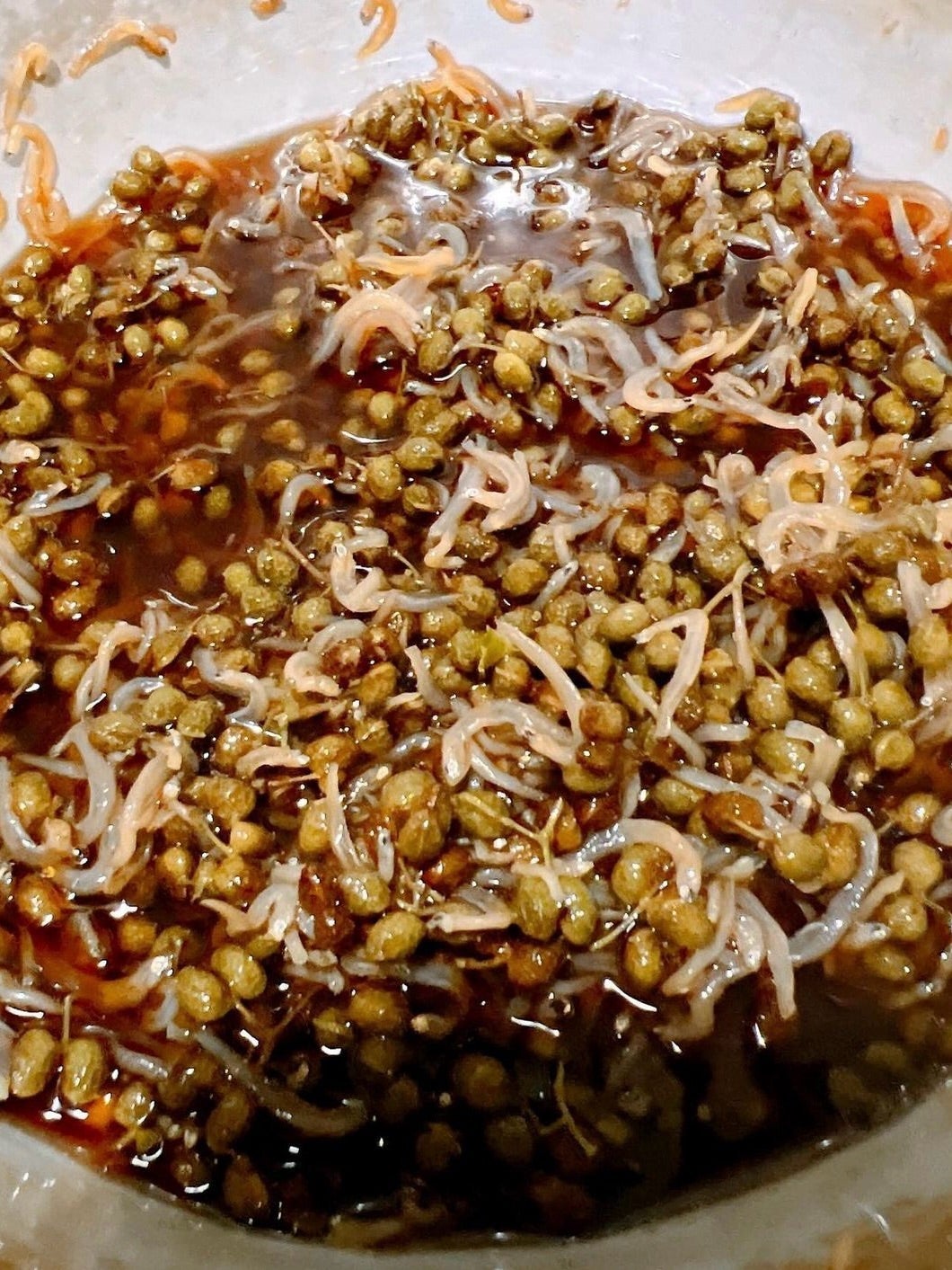 渡辺美奈代公式ブログより