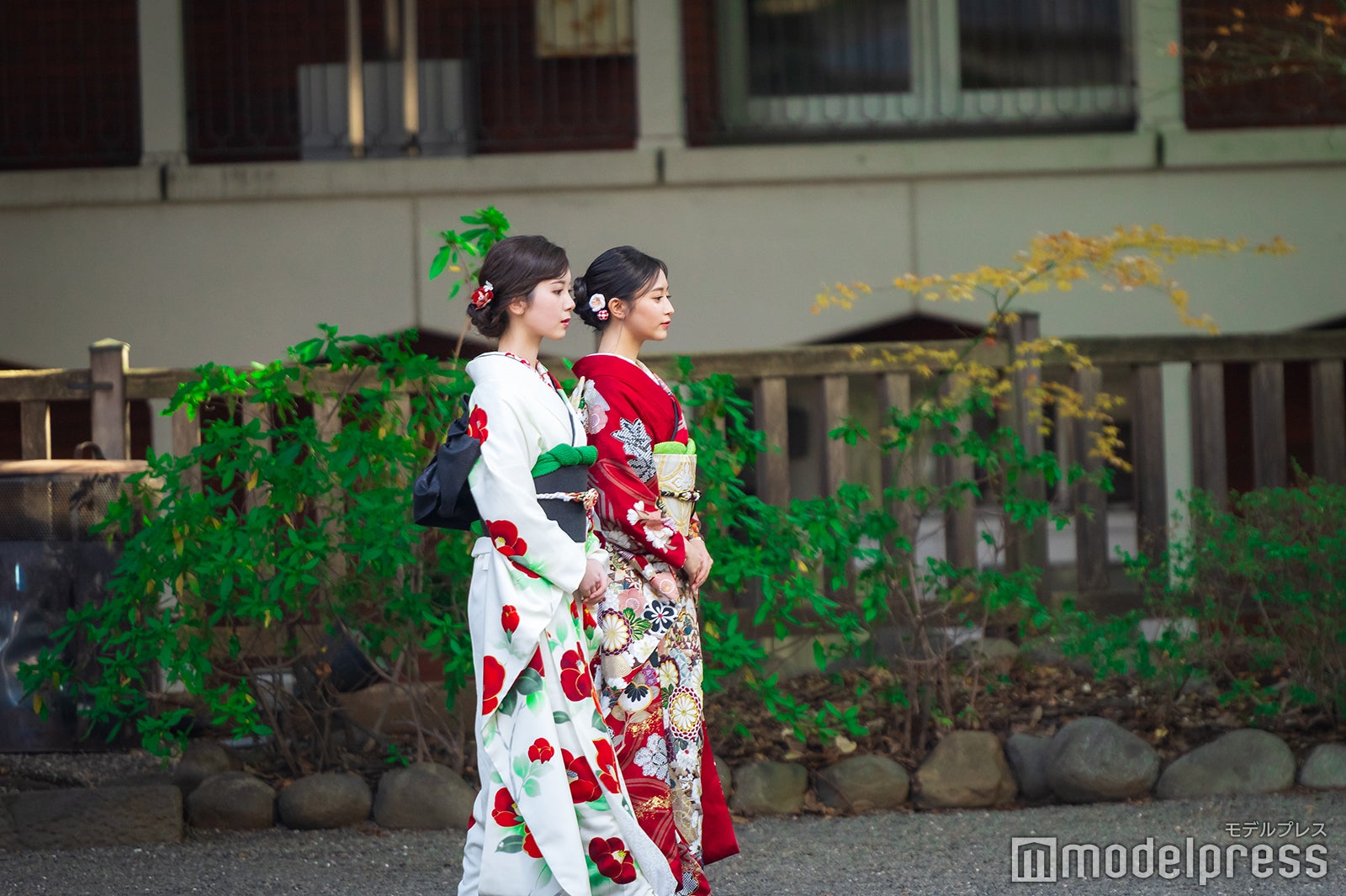 筒井あやめ、井上和／乃木坂46成人式（C）モデルプレス