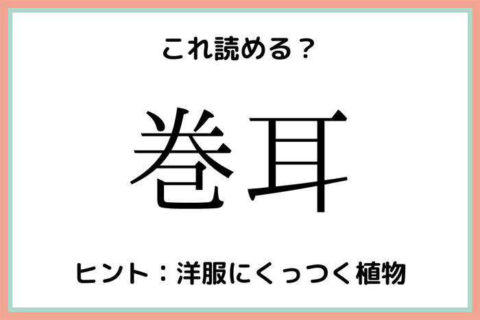 巻耳って何 読めたらスゴい 花の難読漢字 4選 モデルプレス 巻耳って何 読めたらスゴい 花の難読漢字 4選 モデルプレス