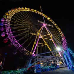 よみうりランド ジュエルミネーション/提供画像