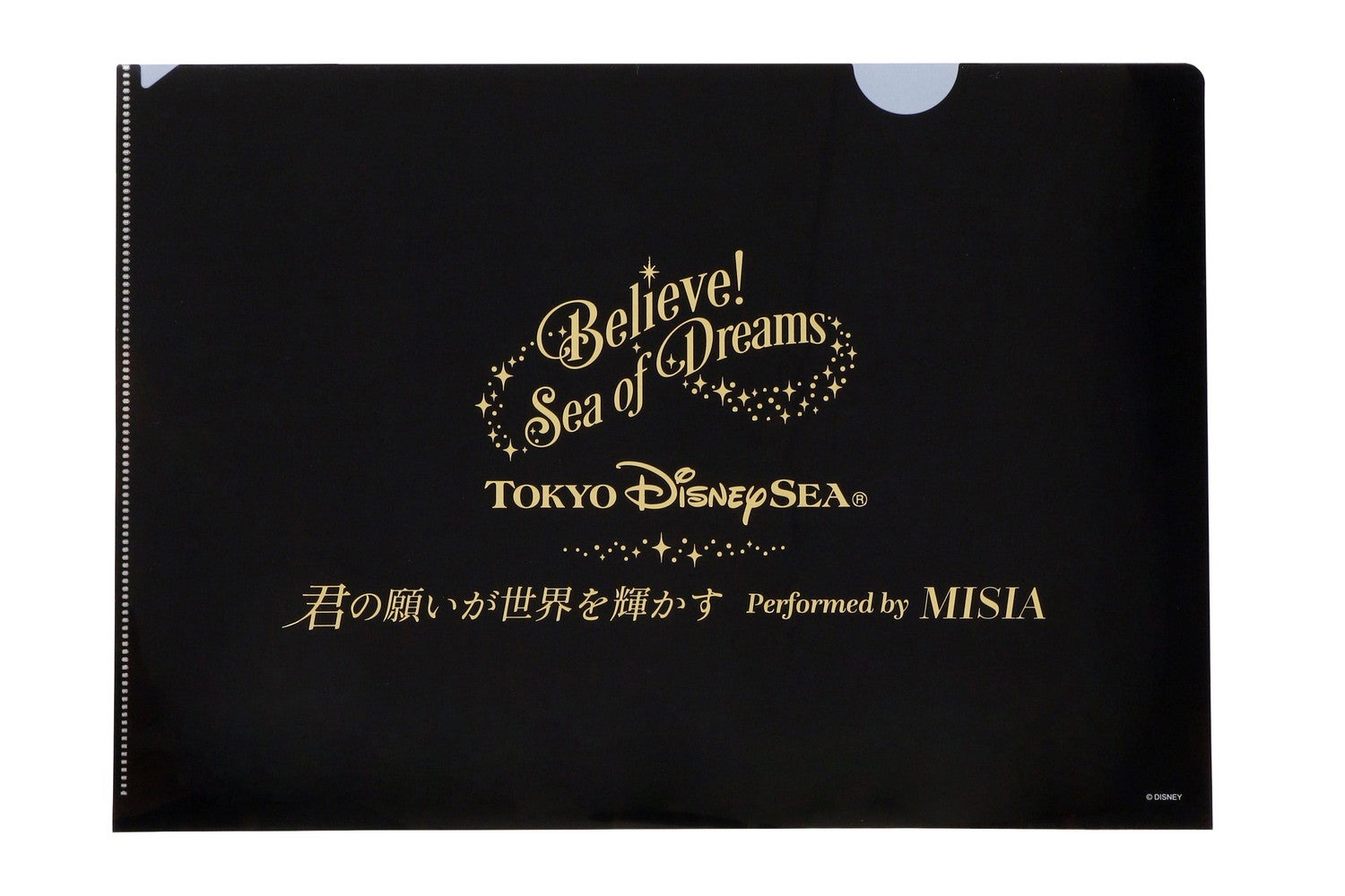 （C）Disney （C）Disney／Pixar 