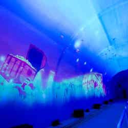 アンダーウォーターワールド/画像提供:NESTA RESORT