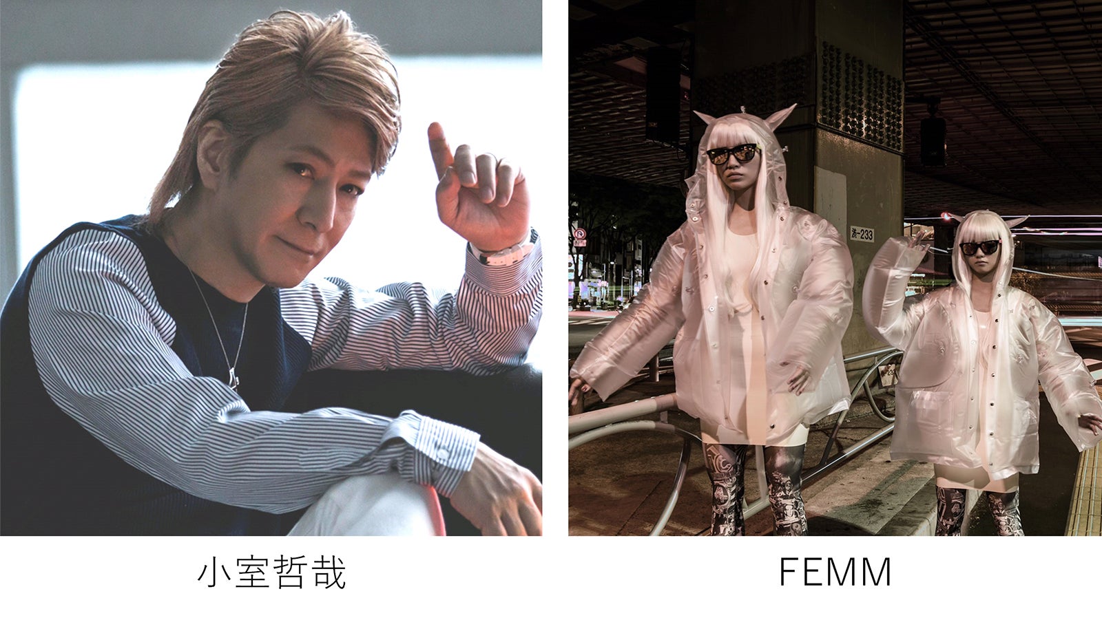 小室哲哉、FEMM