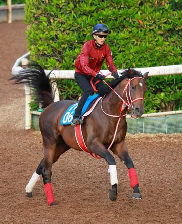 【函館記念】ジュタ 24年ホープフルS4着の素質馬が開花だ Vデータ唯一の減点1、待望タイトル獲得へ