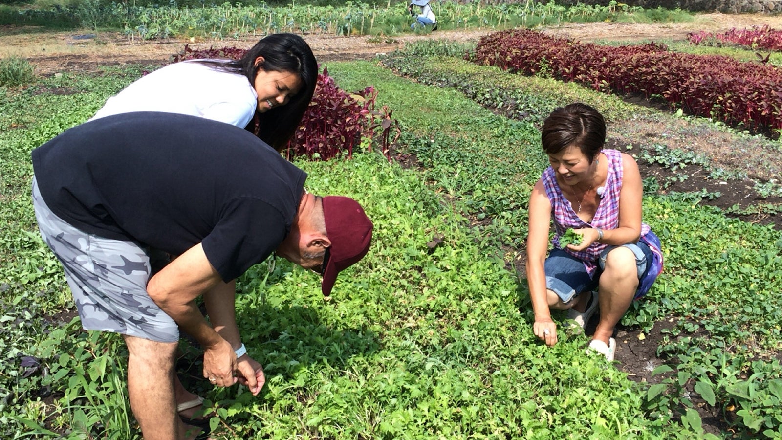 番組の模様／画像提供：毎日放送