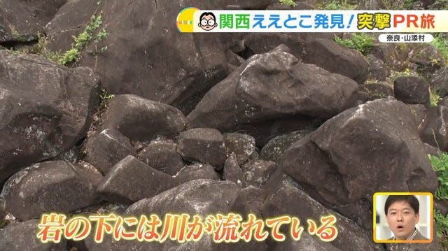 【牧場もサーキットも】家族で楽しめる♡奈良の穴場スポット