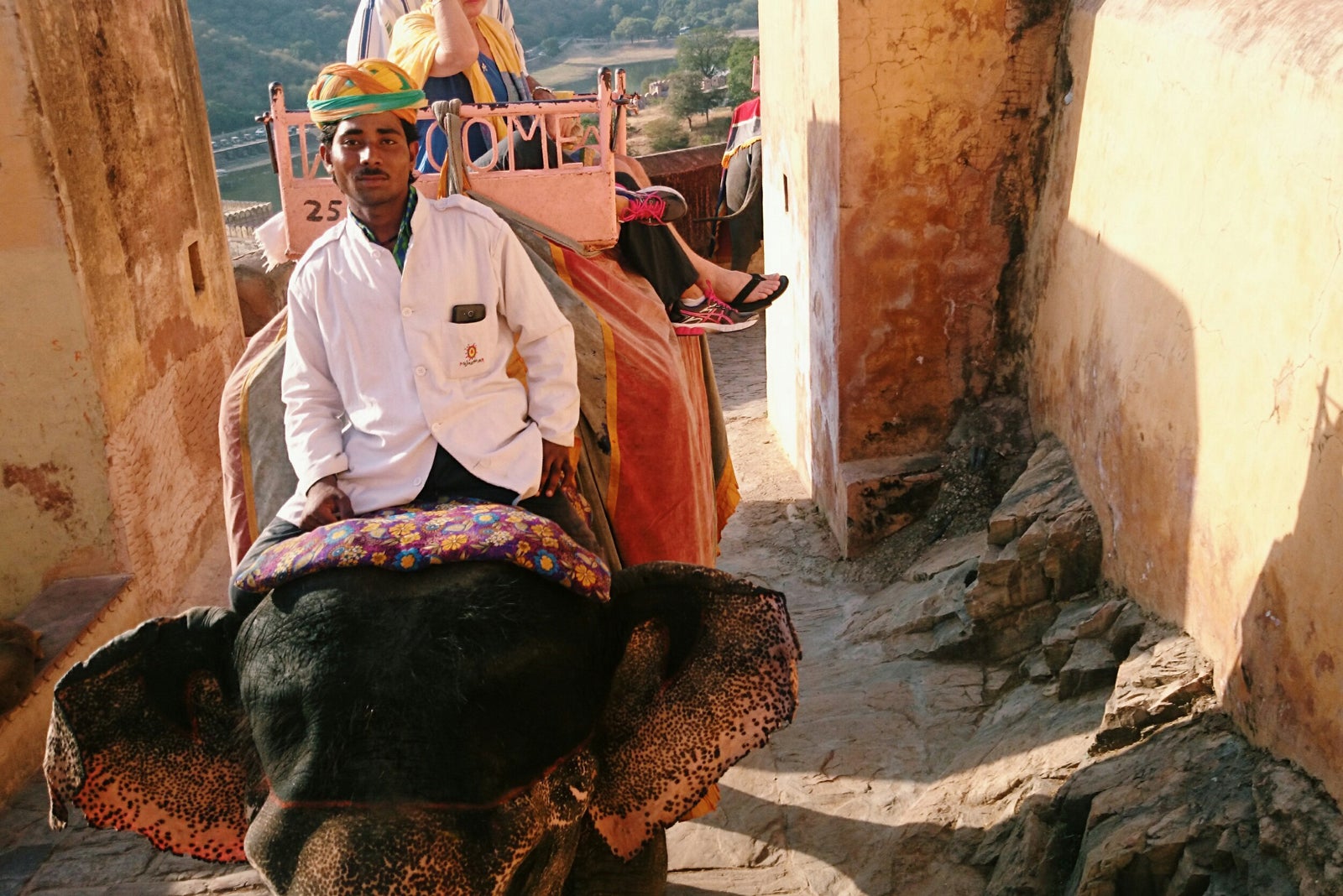 象の背中からの景色／画像提供：所属事務所