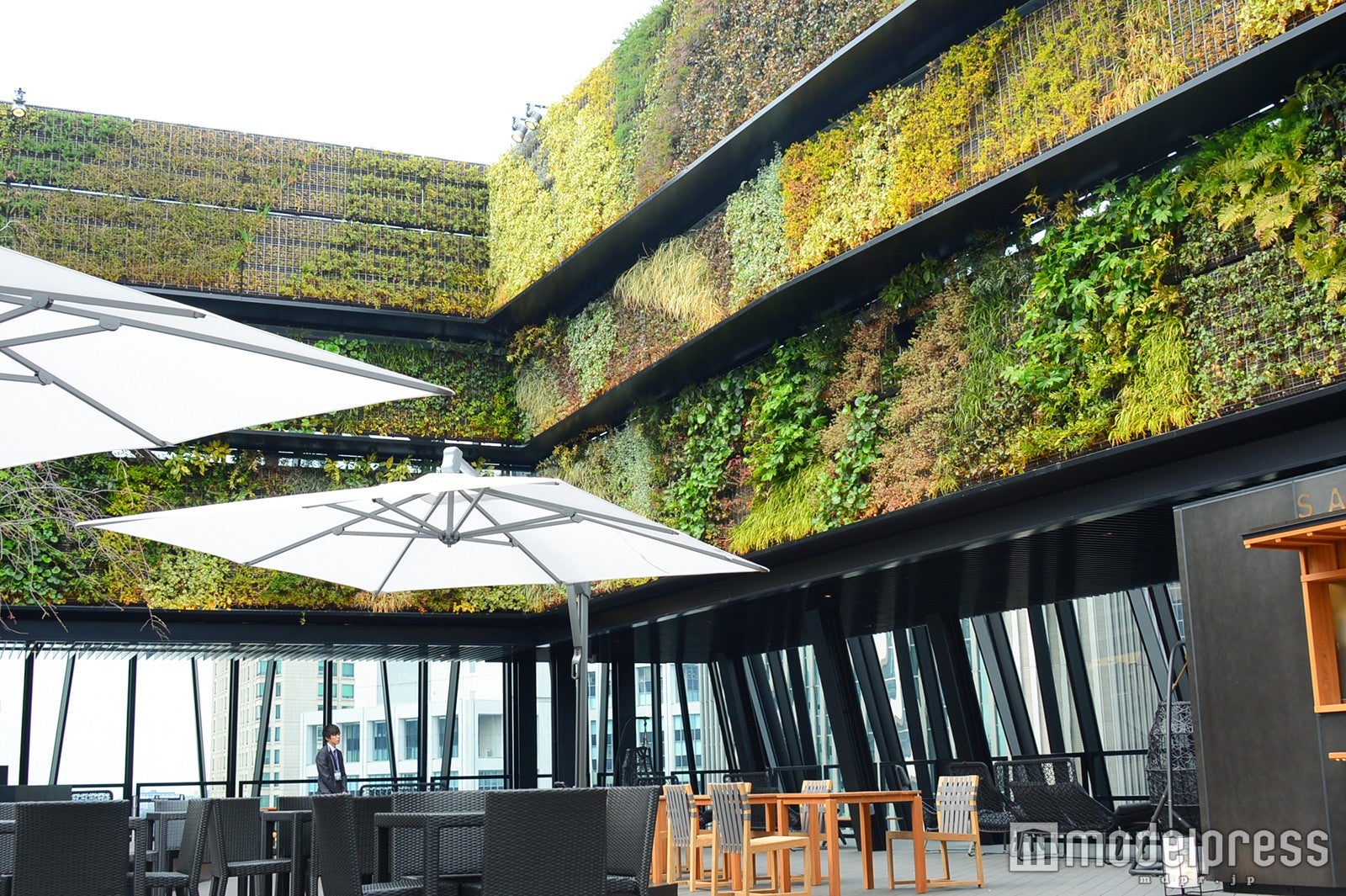 「KIRIKO TERRACE（キリコテラス）」GREEN SIDE（C）モデルプレス