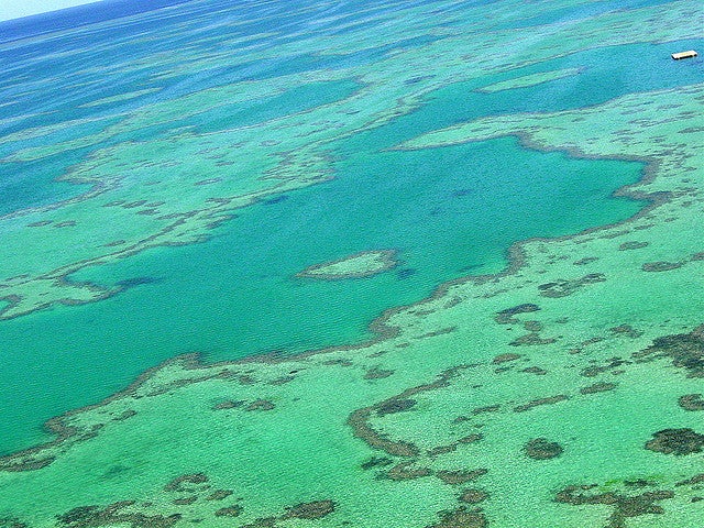 海に浮かぶハートリーフ／photo by krossbow
