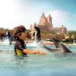 Atlantis The Palm -Dolphin／画像提供：ドバイ政府観光・商務局