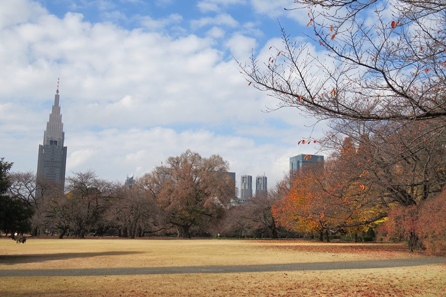 新宿御苑