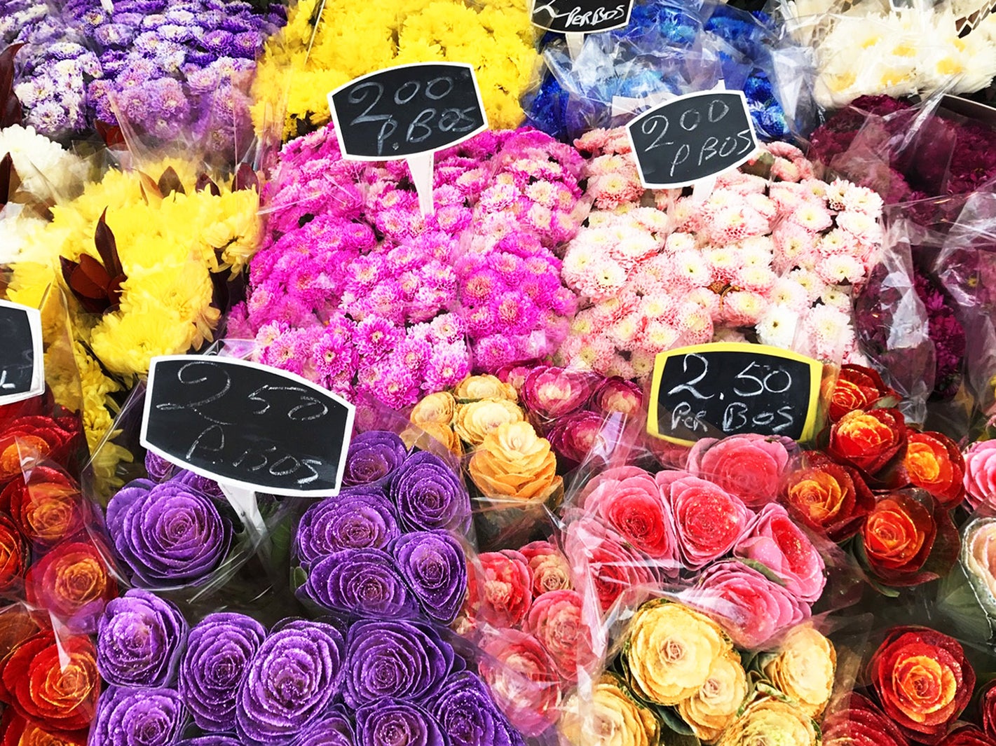 初めてのヨーロッパは“大人可愛い”スポット満載のオランダ女子旅で！