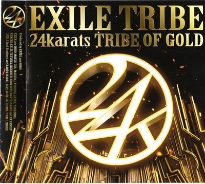 EXILE TRIBE、最優秀ビデオ賞を受賞 「MTV VIDEO MUSIC AWARDS JAPAN 2013」