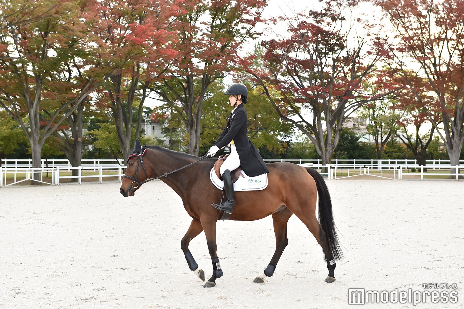 菅井友香（C）モデルプレス