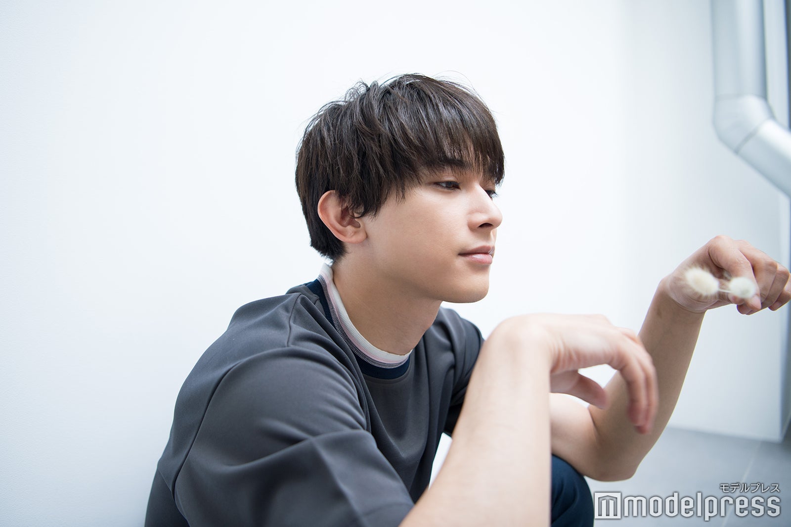 吉沢亮（C）モデルプレス