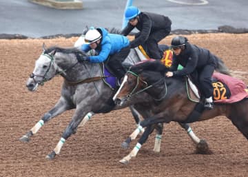 【高松宮記念】ララマセラシオン 1週前追い切りは3頭併せで好タイム1馬身先着 大竹師「初めての1200メートル。未知の部分に期待」