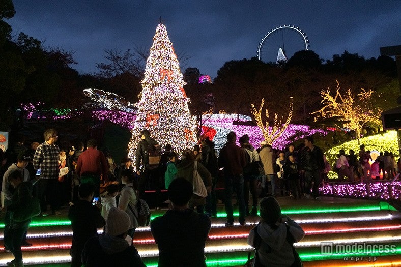 「さがみ湖イルミリオン」／画像提供：富士急行