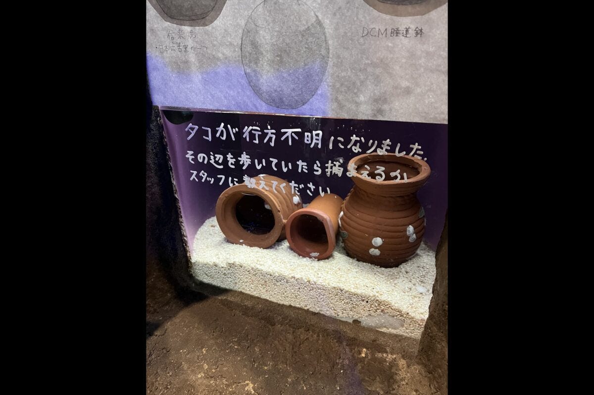 もぐらんぴあ水族館