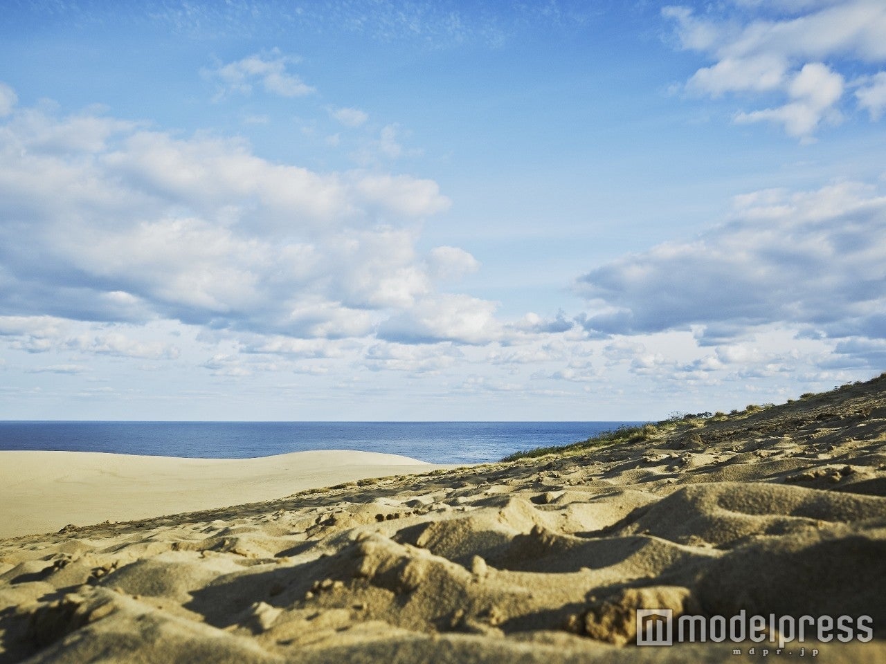 AIKU写真展「瞬間の色～愛～」