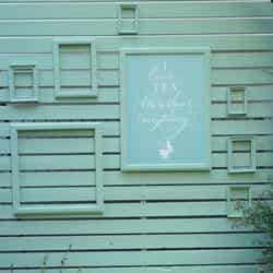 フォトジェニックな内装/画像提供:AsoboLabo