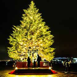 Christmas Market in 横浜赤レンガ倉庫(提供写真)