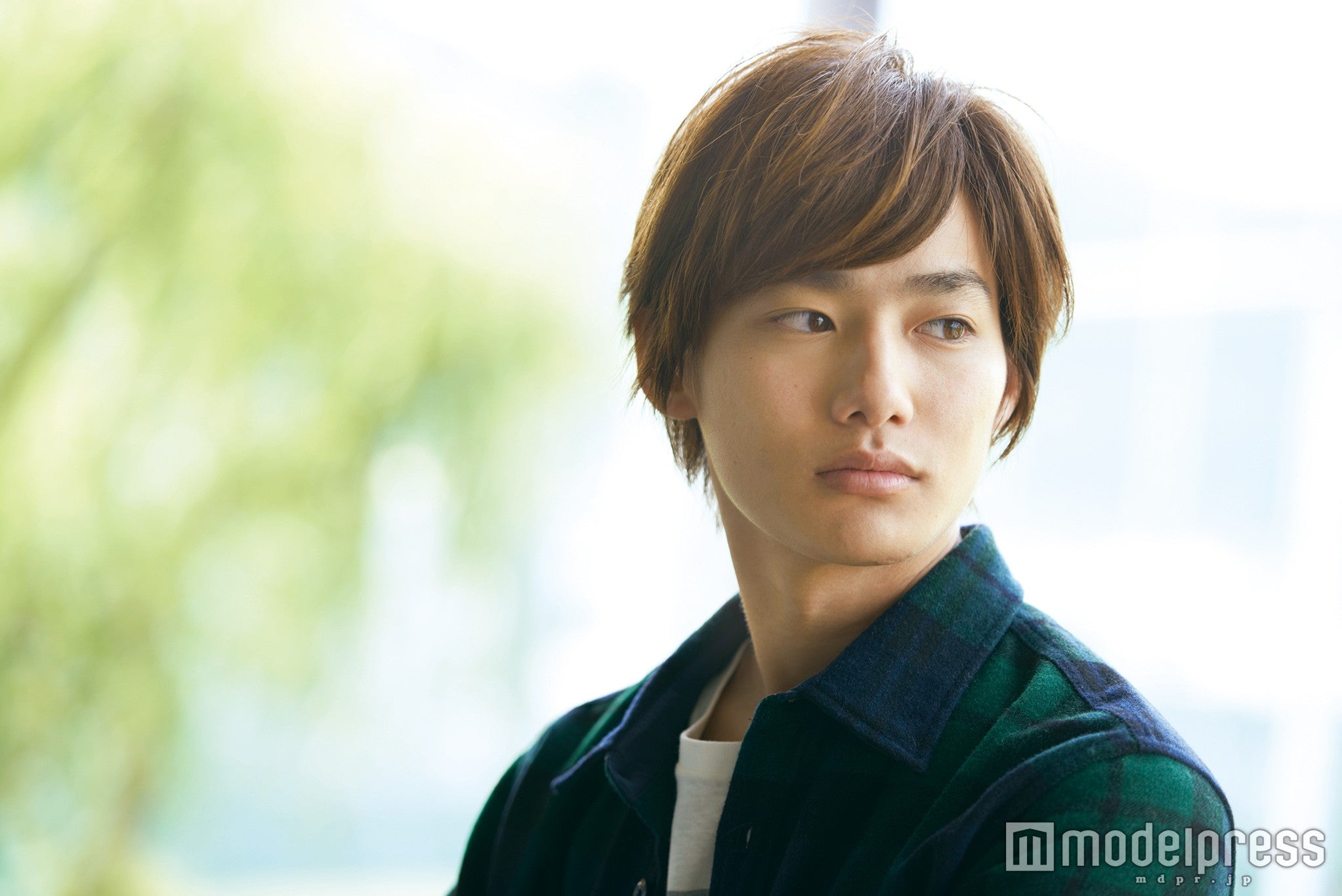 野村周平（C）2016映画「ちはやふる」製作委員会（C）末次由紀／講談社