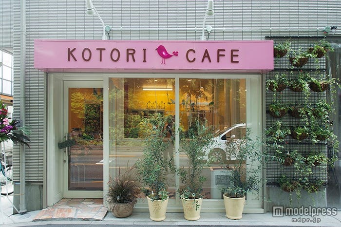 「ことりカフェ吉祥寺」/画像提供:ことりカフェ