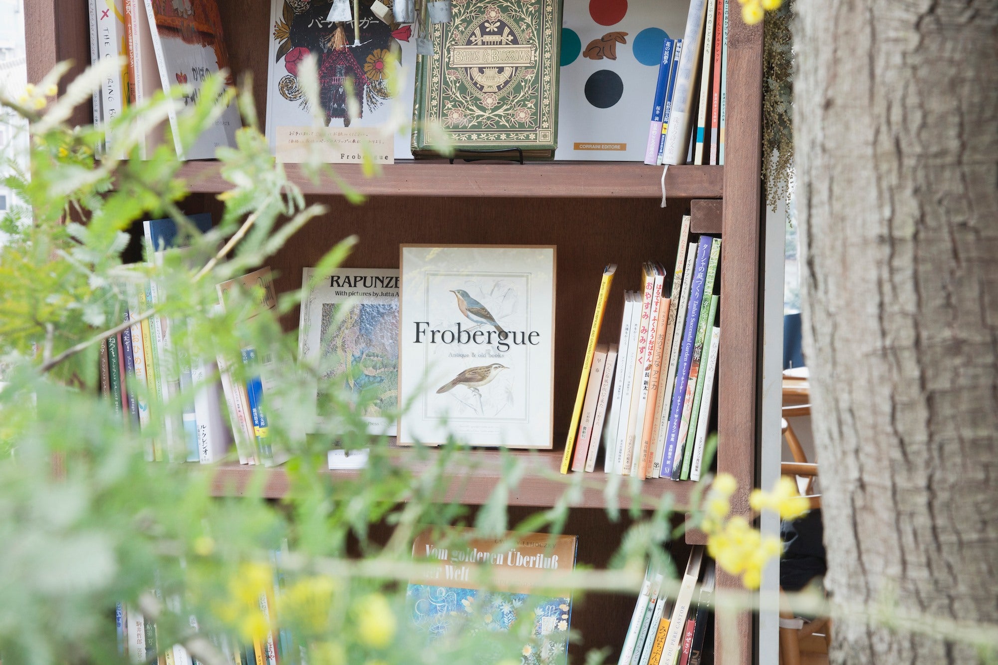 限定BOOK STORE（提供写真）