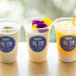 （左から）「カルピス」＋味噌BLEND、「カルピス」＋糀甘酒BLEND、「カルピス」＋ヨーグルトBLEND