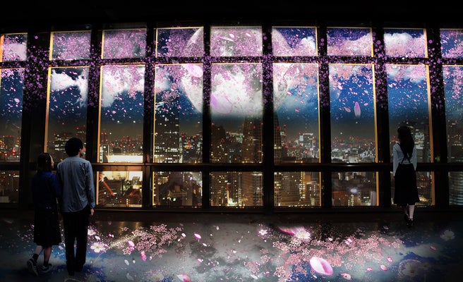 東京タワーで夜桜鑑賞 光で作る 桜吹雪 の演出で幻想的な空間に 女子旅プレス 東京タワーで夜桜鑑賞 光で作る 桜吹雪 の演出で幻想的な空間に 女子旅プレス