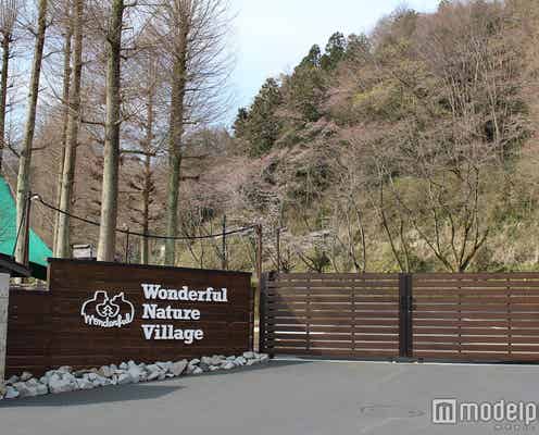 愛犬と楽しむアウトドア空間が誕生 都内最大級のドッグラン&プール付き空間でリフレッシュ