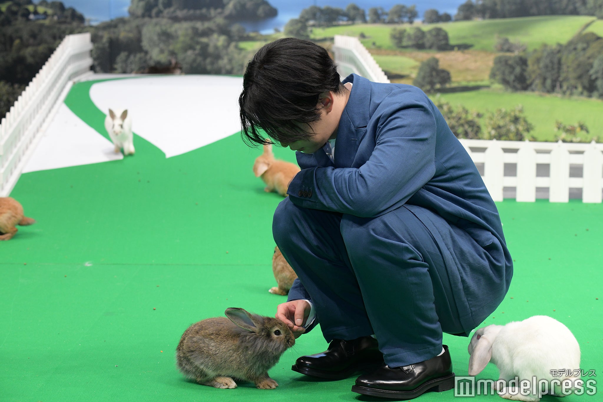 千葉雄大（C）モデルプレス