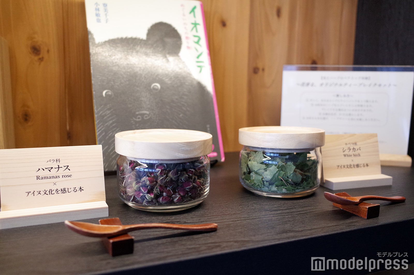 界 ポロト（C）モデルプレス