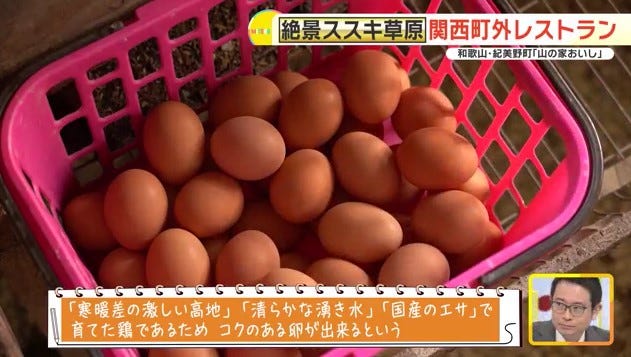 【和歌山】関西有数の”絶景”と一緒に楽しみたい「絶品親子丼」