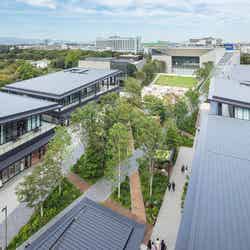 GREEN SPRINGS/提供画像