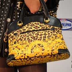 レオパード柄のバッグ。ゴールドで王冠や花柄がプリントされている(「MTV VIDEO MUSIC AID JAPAN」記者会見より)