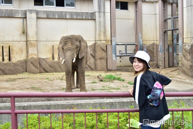 可愛いゾウのマオちゃん